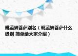 毗藍婆菩薩別名（毗藍婆菩薩什么級別 簡單給大家介紹）