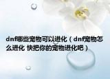dnf哪些寵物可以進(jìn)化（dnf寵物怎么進(jìn)化 快把你的寵物進(jìn)化吧）