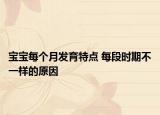 寶寶每個月發(fā)育特點 每段時期不一樣的原因