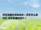 虎牙直播怎樣發(fā)動態(tài)（虎牙怎么發(fā)動態(tài) 虎牙直播的簡介）