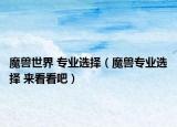 魔獸世界 專業(yè)選擇（魔獸專業(yè)選擇 來看看吧）