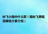 紛飛小雨中什么歌（雨紛飛原唱 簡(jiǎn)單給大家介紹）