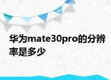 華為mate30pro的分辨率是多少