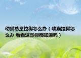 幼貓總是拉稀怎么辦（幼貓拉稀怎么辦 看看這些你都知道嗎）