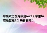 蘋(píng)果六怎么降級(jí)到ios9（蘋(píng)果6s降級(jí)教程9.1 來(lái)看看吧）