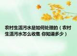 農村生活污水是如何處理的（農村生活污水怎么收集 你知道多少）