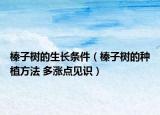 榛子樹的生長(zhǎng)條件（榛子樹的種植方法 多漲點(diǎn)見識(shí)）