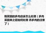 剛買(mǎi)回的多肉應(yīng)該怎么處理（多肉買(mǎi)回來(lái)之后如何處理 養(yǎng)多肉的注意了）
