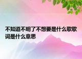 不知道不明了不想要是什么歌歌詞是什么意思