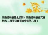 三級警司是什么級別（三級警司是正式編制嗎 三級警司是警察中的第幾級）