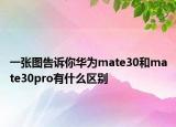 一張圖告訴你華為mate30和mate30pro有什么區(qū)別