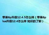 蘋(píng)果6p升級(jí)12.4.5怎么樣（蘋(píng)果6plus升級(jí)12.4怎么樣 知識(shí)的了解）