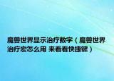 魔獸世界顯示治療數(shù)字（魔獸世界治療宏怎么用 來看看快捷鍵）