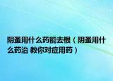陰蚤用什么藥能去根（陰蚤用什么藥治 教你對癥用藥）
