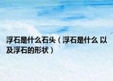 浮石是什么石頭（浮石是什么 以及浮石的形狀）