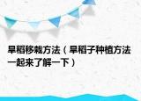 旱稻移栽方法（旱稻子種植方法 一起來了解一下）