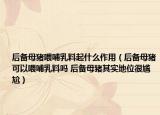 后備母豬喂哺乳料起什么作用（后備母豬可以喂哺乳料嗎 后備母豬其實(shí)地位很尷尬）