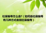 社保編號(hào)怎么查?（如何查社保編號(hào) 有幾種方式查詢社保編號(hào)）