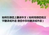 如何在微信上翻譯外文（如何用微信將漢字翻譯成外語 微信中怎樣翻譯成外語）