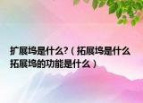 擴展塢是什么?（拓展塢是什么 拓展塢的功能是什么）