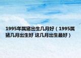 1995年屬豬出生幾月好（1995屬豬幾月出生好 這幾月出生最好）