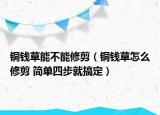 銅錢草能不能修剪（銅錢草怎么修剪 簡單四步就搞定）