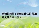 狗母蛇百科（狗母蛇什么蛇 簡單給大家介紹一下）