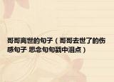 哥哥離世的句子（哥哥去世了的傷感句子 思念句句戳中淚點(diǎn)）