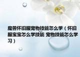 魔獸懷舊服寵物技能怎么學（懷舊服寶寶怎么學技能 寵物技能怎么學習）