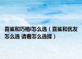喜鯊和巧格i怎么選（喜鯊和優(yōu)友怎么選 請(qǐng)看怎么選擇）