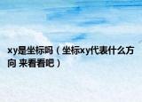 xy是坐標嗎（坐標xy代表什么方向 來看看吧）