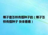 椰子是怎樣傳播種子的（椰子怎樣傳播種子 快來看看）