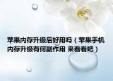 蘋果內(nèi)存升級后好用嗎（蘋果手機內(nèi)存升級有何副作用 來看看吧）