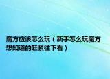 魔方應(yīng)該怎么玩（新手怎么玩魔方 想知道的趕緊往下看）