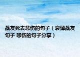 戰(zhàn)友死去悲傷的句子（哀悼戰(zhàn)友句子 悲傷的句子分享）