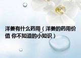 洋姜有什么藥用（洋姜的藥用價值 你不知道的小知識）