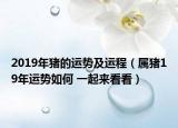 2019年豬的運勢及運程（屬豬19年運勢如何 一起來看看）