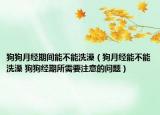 狗狗月經(jīng)期間能不能洗澡（狗月經(jīng)能不能洗澡 狗狗經(jīng)期所需要注意的問題）
