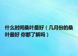 什么時間桑葉最好（幾月份的桑葉最好 你都了解嗎）
