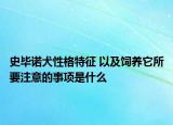 史畢諾犬性格特征 以及飼養(yǎng)它所要注意的事項(xiàng)是什么