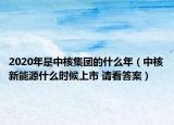 2020年是中核集團(tuán)的什么年（中核新能源什么時(shí)候上市 請看答案）