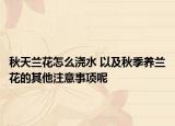 秋天蘭花怎么澆水 以及秋季養(yǎng)蘭花的其他注意事項(xiàng)呢