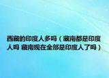 西藏的印度人多嗎（藏南都是印度人嗎 藏南現(xiàn)在全部是印度人了嗎）