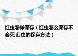 紅蟲怎樣保存（紅蟲怎么保存不會死 紅蟲的保存方法）