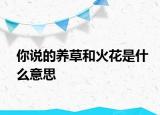 你說的養(yǎng)草和火花是什么意思