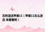 怎樣激活蘋果11（蘋果11怎么激活 來看看吧）