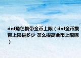 dnf角色攜帶金幣上限（dnf金幣攜帶上限是多少 怎么提高金幣上限呢）