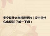 安寧是什么電視劇里的（安寧是什么電視劇 了解一下吧）