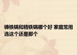 鑄鐵鍋和精鐵鍋哪個好 家庭常用選這個還是那個