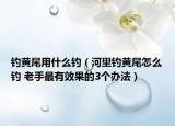 釣黃尾用什么釣（河里釣黃尾怎么釣 老手最有效果的3個(gè)辦法）